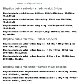 Švábi Blaptica dubia 3-4 cm,cena od 1.70kč