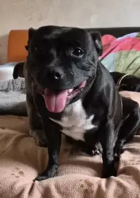 Matka