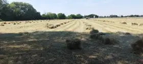 Malé balíky sena