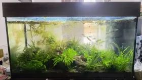 Akvárium Juwel Rio 125l