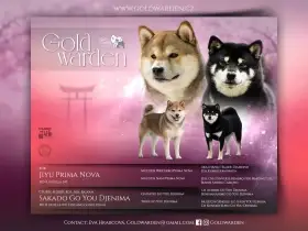 Shiba štěňátko s pp/fci