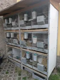 Kralíkárna 12x kotec