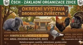 Výstava
