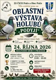 Okresní výstava holubů a výletků Práče u Znojma