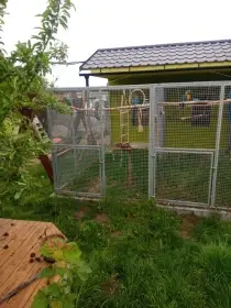 Kovové dílce k montáži hrazení, voliér nebo kotců – snadná instalace, odolné pro