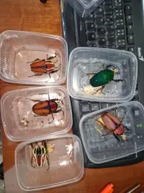 Sklipkani, stiri, stonozky, mnohonozky atd atd:)
