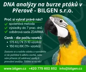 Určení pohlaví na burze v Přerově