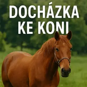 Docházka ke koni