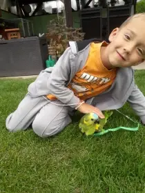 Dokrmení papoušci