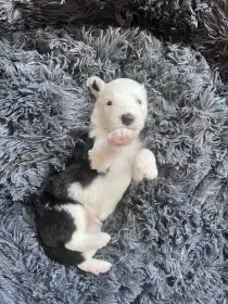 Přijeďte se na nás podívat 🥰