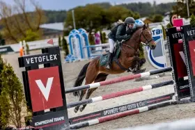 Pony kategorie B