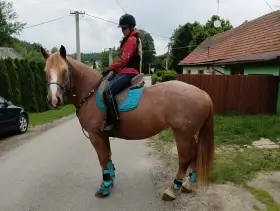 Klisna čmb