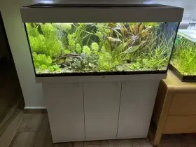 Akvárium juwel 180 l