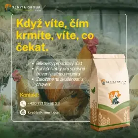 Poctivé krmivo pro zdravou drůbež www.kvalitnikrmeni.com