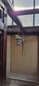 1,0 Snovač zahradní