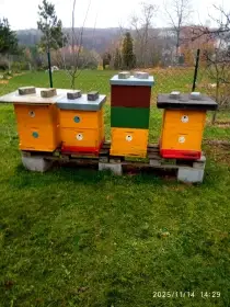 Pro stáří prodám 7 včelstev
