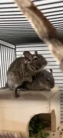 Osmačky do dobrých rukou