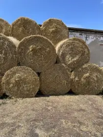 Prodám balíky slámy