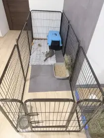 Zakrslý kralicek komplet