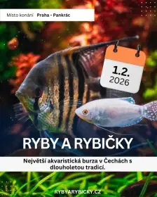 Ryby a rybičky - výstavní a prodejní akvaristická burza v Praze - 1.2.2026