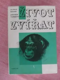 Život zvířat.