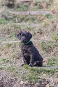 věk na fotce 7 týdnů