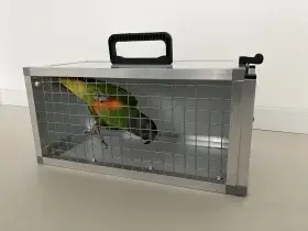 Přepravka, přenoska 40x20x20