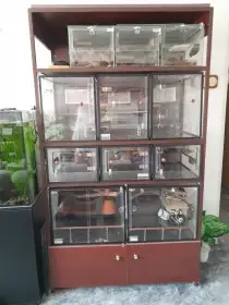 Prodám terarijní regál s terárky