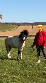 Výjimečně zbarvený pony valach