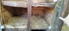 Daruji králíkárnu za odvoz