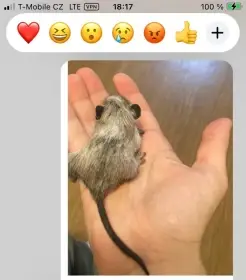 Prodám osmáky degu