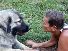 Malá ženská s velkým psem