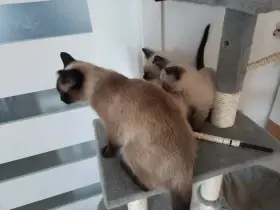 S maminkou a bráchou.