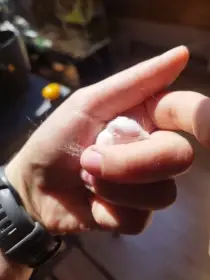 Rezervace Pet mouse