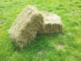 Malé hranaté balíky  sena
