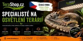 TeraShop.cz