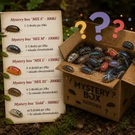 Isopody·stínky·chvostosko ci - Bulk / Mystery boxy