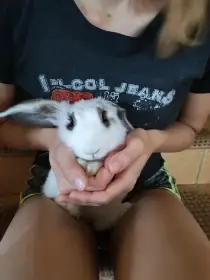 Dupík se nechá mačkat