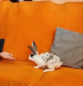 Je na procházce