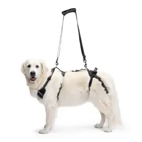 Podpůrný postroj Ortocanis Full Support Harness – XXL, pro psa do 50 kg