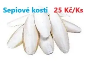 Přírodní sepiové kosti