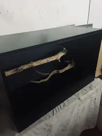Terária na míru z lamina