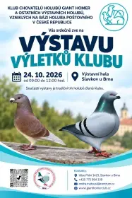 Speciální výstava klubu