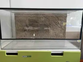Terarium