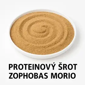 Ponukame prirodzenu plemenitbu papagajov a exotov