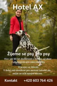 Psí Hotel - hlídání psů / ubytování v psím hotelu AX