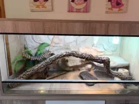 Terárium