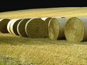 Ovesná a pšeničná sláma