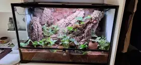 Terarium