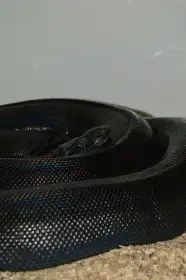 Boa
